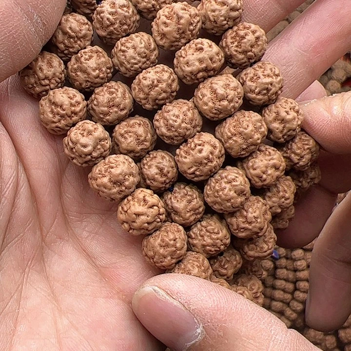 金刚菩提手串0瓣多肉10.5左右