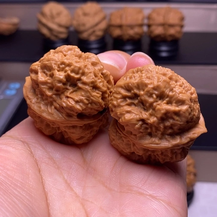 把件文玩核桃小帝王蟾42