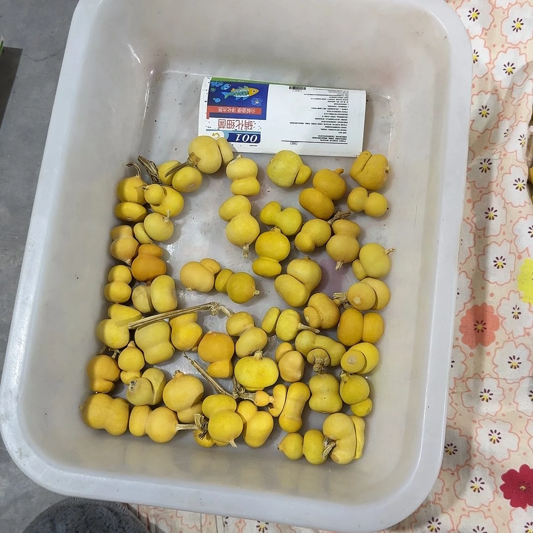 半***糖有机玻璃50个钱袋