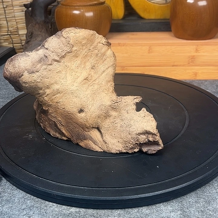 西***凉楠木枯木老料自然型摆件