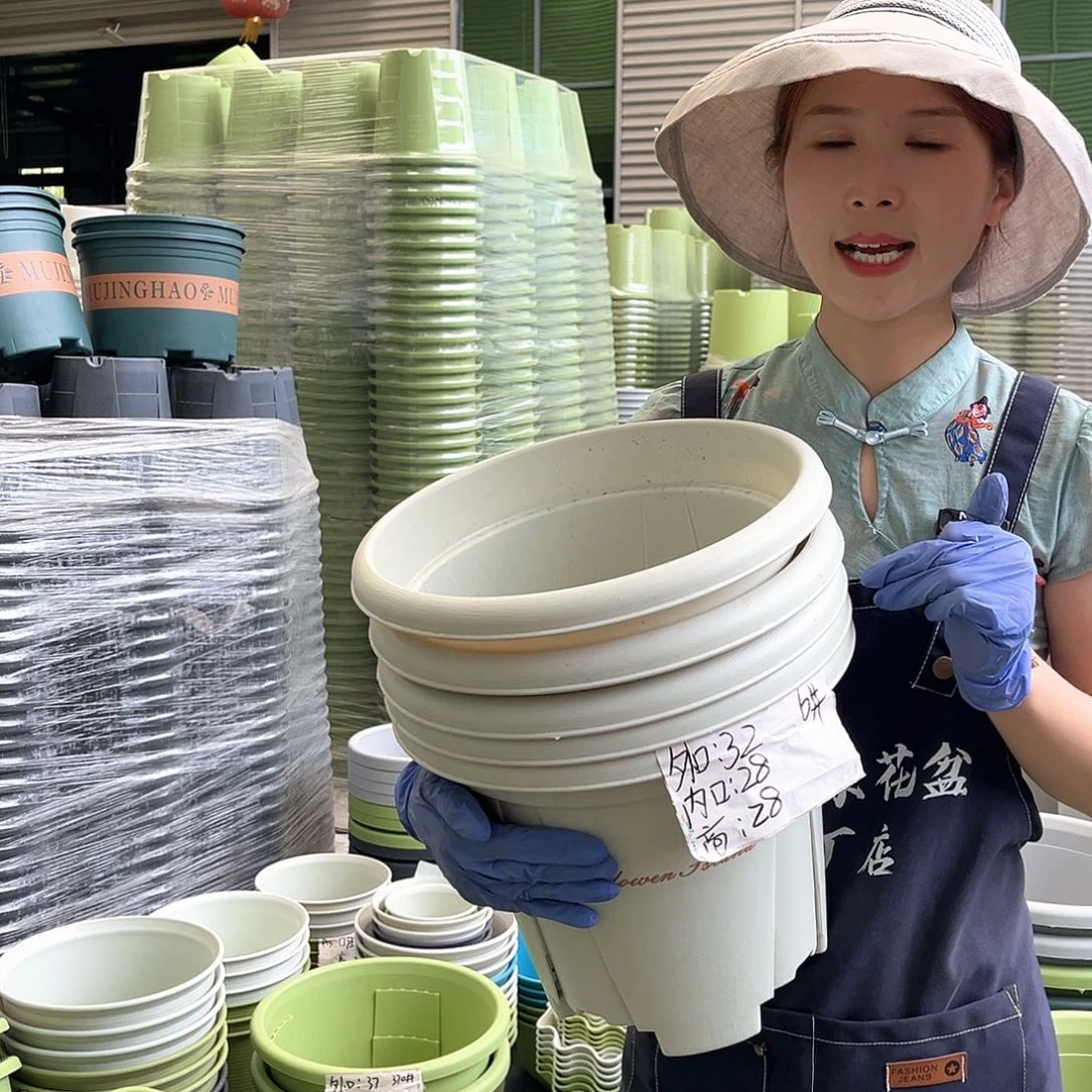 青山盆6#米白色5个无托