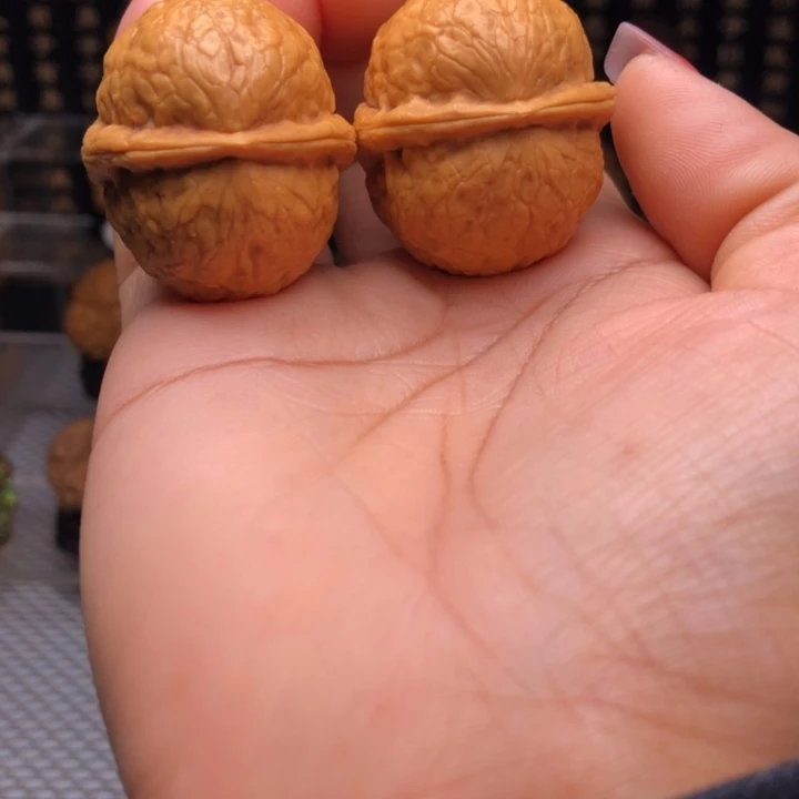 橄榄核吊坠4粗筋大屁桃