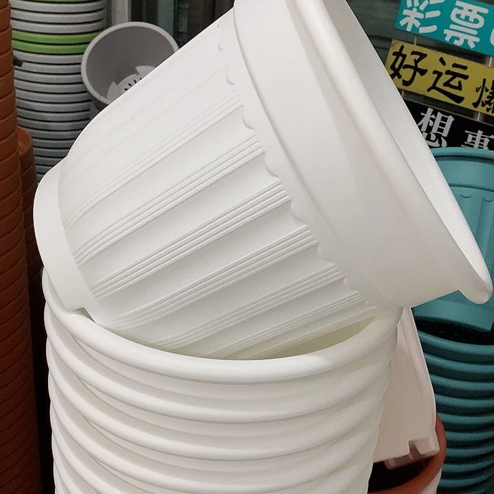 罗马口32高28白3个无托