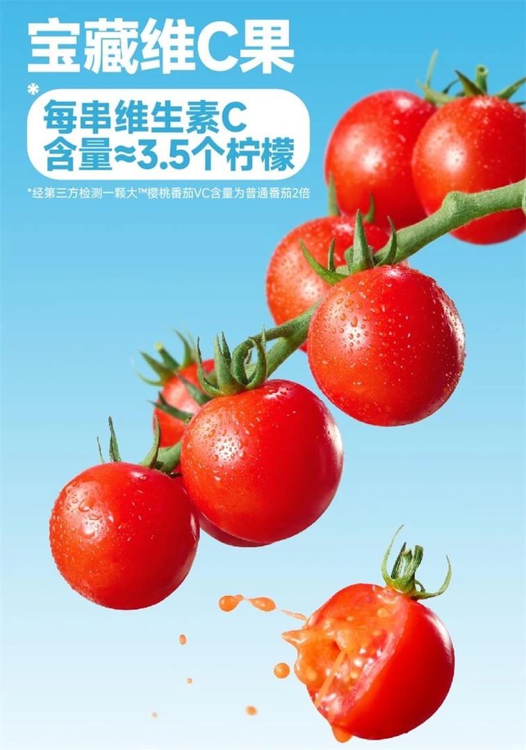 一颗大红散串番茄 ≥450g/份