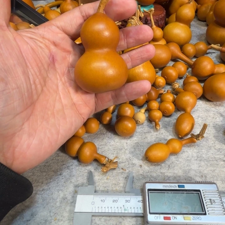 执***#质量的一把一把小巴宝葫芦