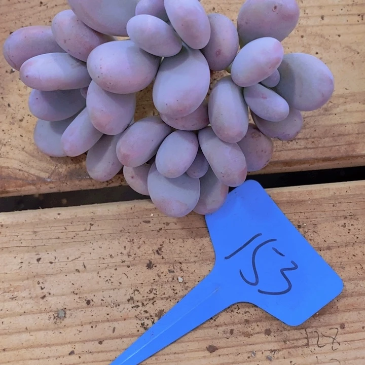 你说什么都不说啊怎么