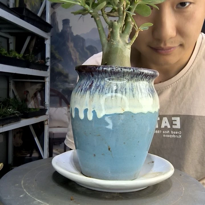 用****6中青园艺一物一拍3