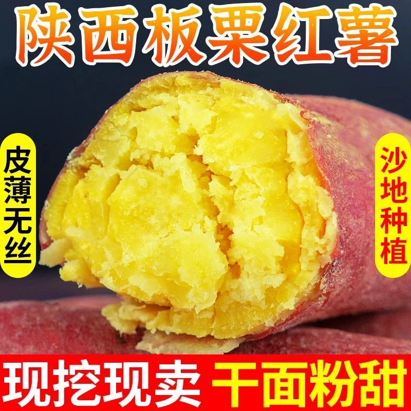 正宗陕西板栗红薯新鲜现挖粉面番薯粗粮小香薯烤地瓜香甜