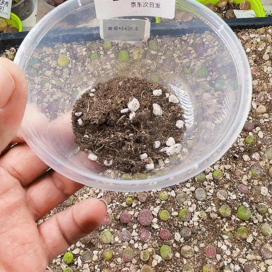 一物一拍6606套餐