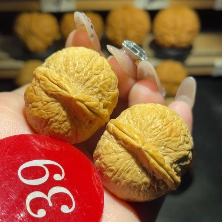 龙珠32尺寸核桃。