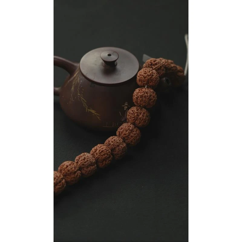 龙江问道-金刚菩提-（虎头蜂）