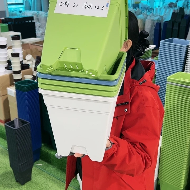 正品方盆口20高22果绿无托6只