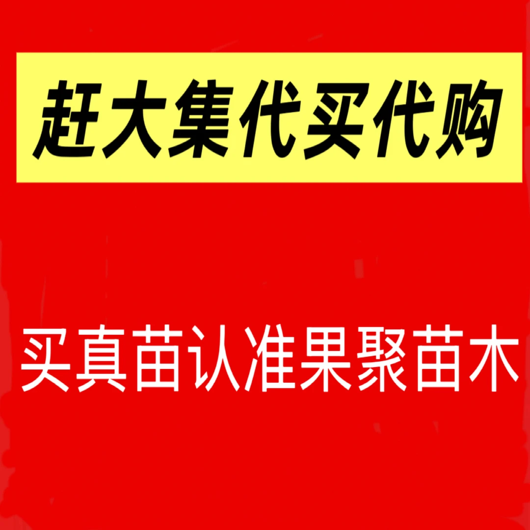 果树苗市场大集代买代购，嫁接正品桃树苗梨树苗苹果苗李子苗等