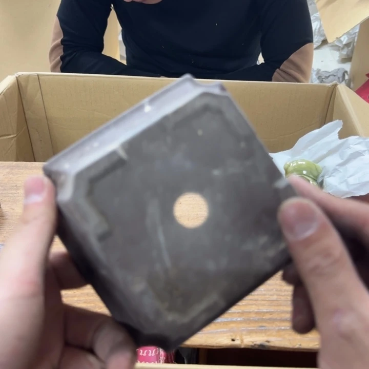 肖*3哈哈哈哈哈哈哈哈