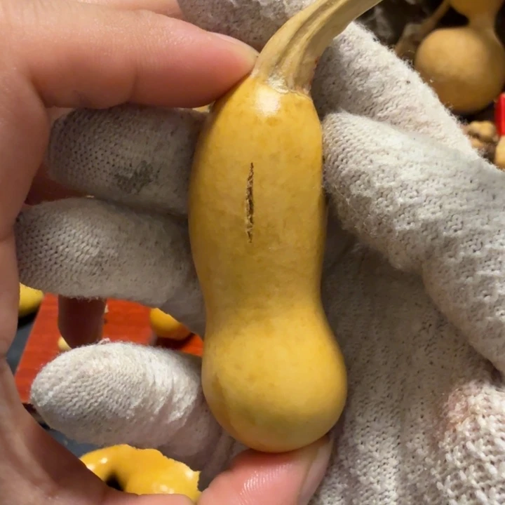 *****天裂6666666666666