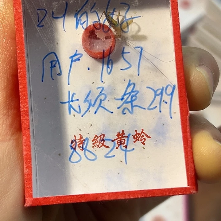 用***7蟋蟀蝈蝈我在外面吃饭呢