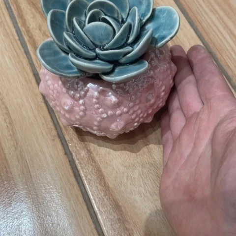 【闪购商品】碟w****理摆件摆件摆件摆件摆件不