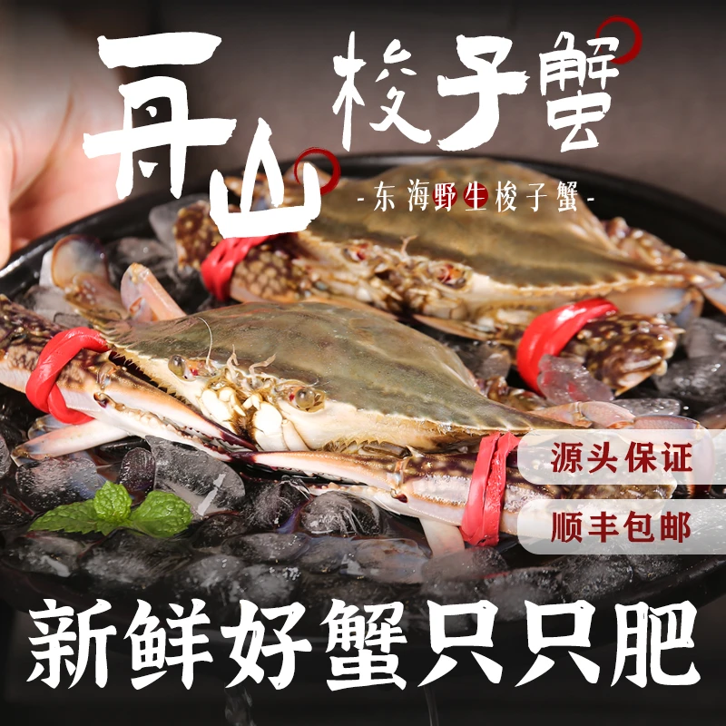 舟山流网梭子蟹鲜美飞蟹肉蟹特大螃蟹3斤4-6两/只公母混发【冻蟹】