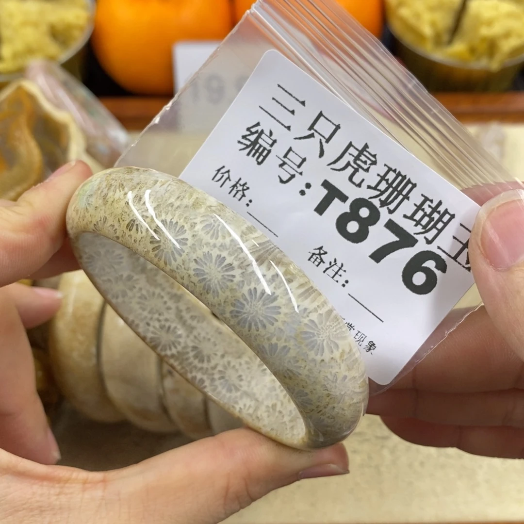 硅化珊瑚（珊瑚玉）1未镶嵌