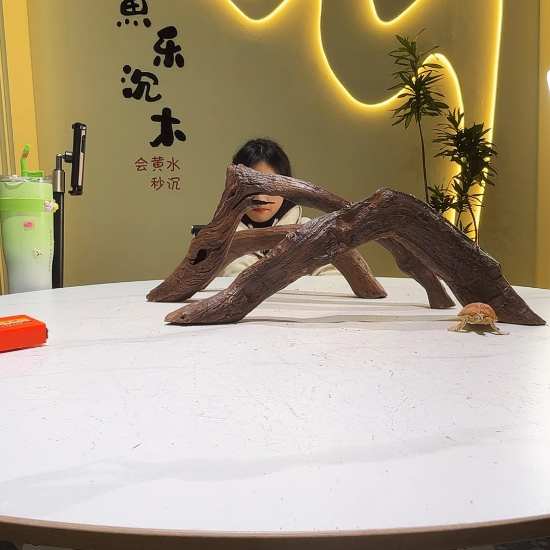 瓦当雨***舍会黄黑红水917。3个