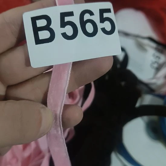 565%8888888888888888888