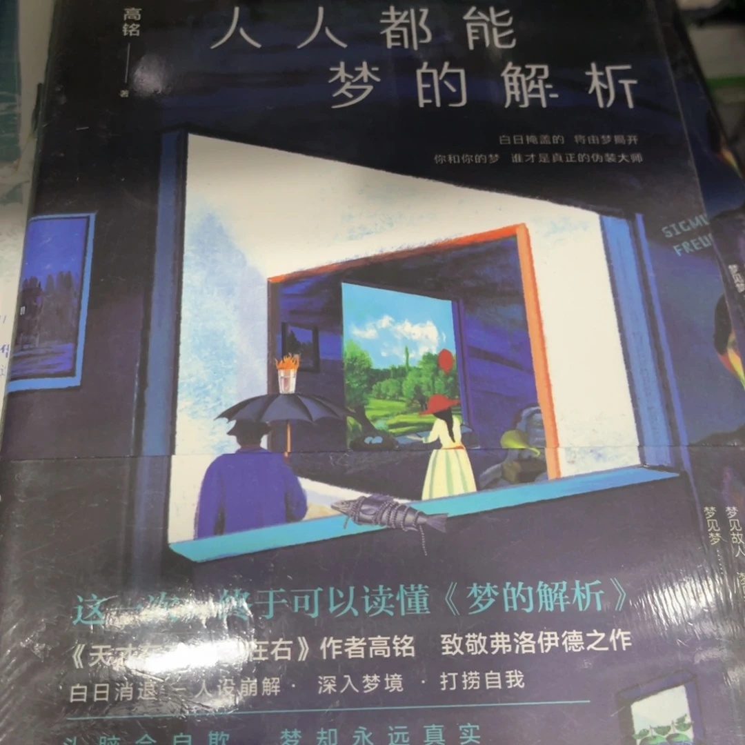 人人都能梦到解析简装