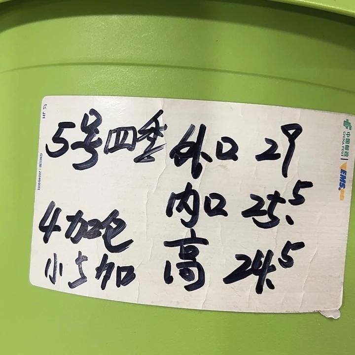 特价5号四季口29高24.5雾霾蓝无托5只