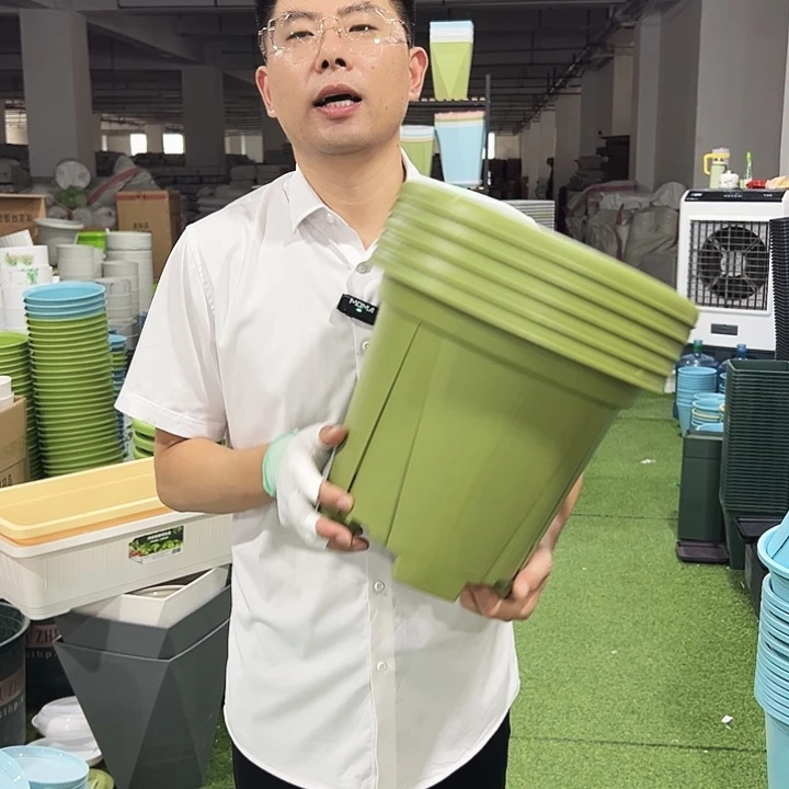 青山口32高28果绿5只无托