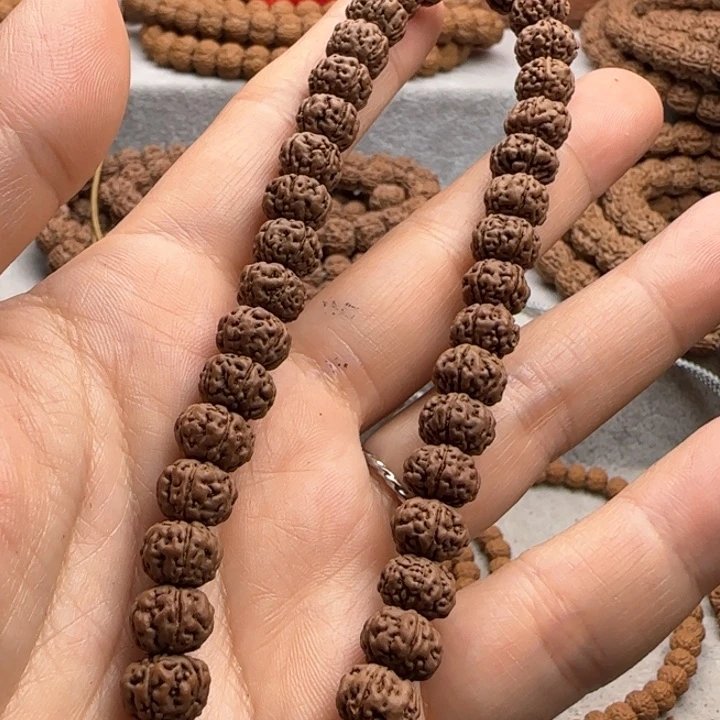 金刚菩提手串?****条老树王