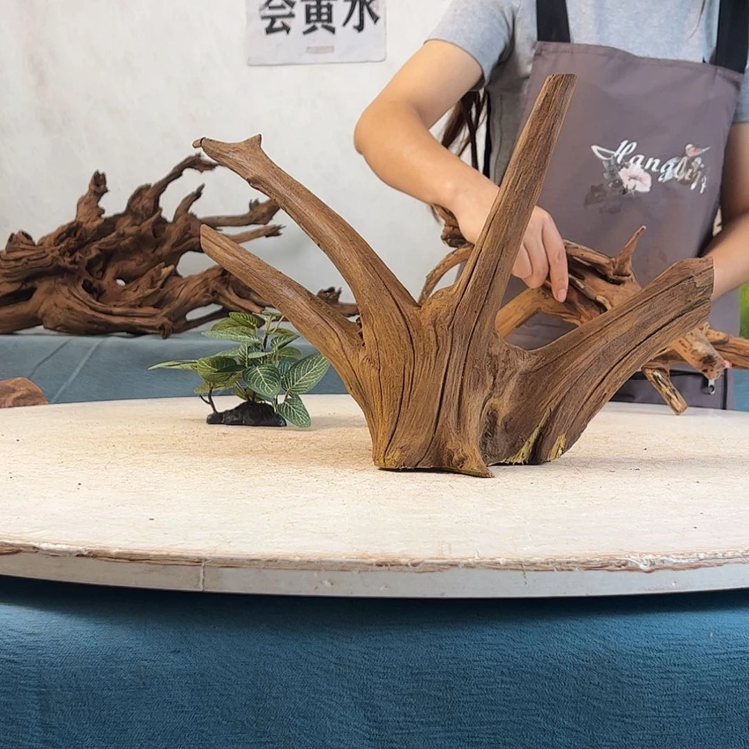 沉木造景寄居蟹景