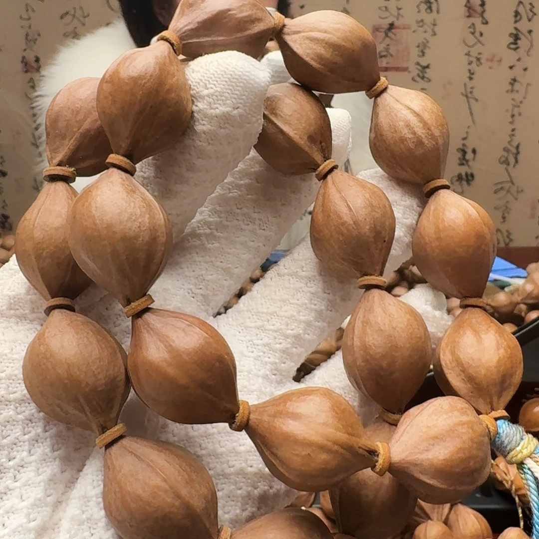 手串橄榄核鲨鱼呗