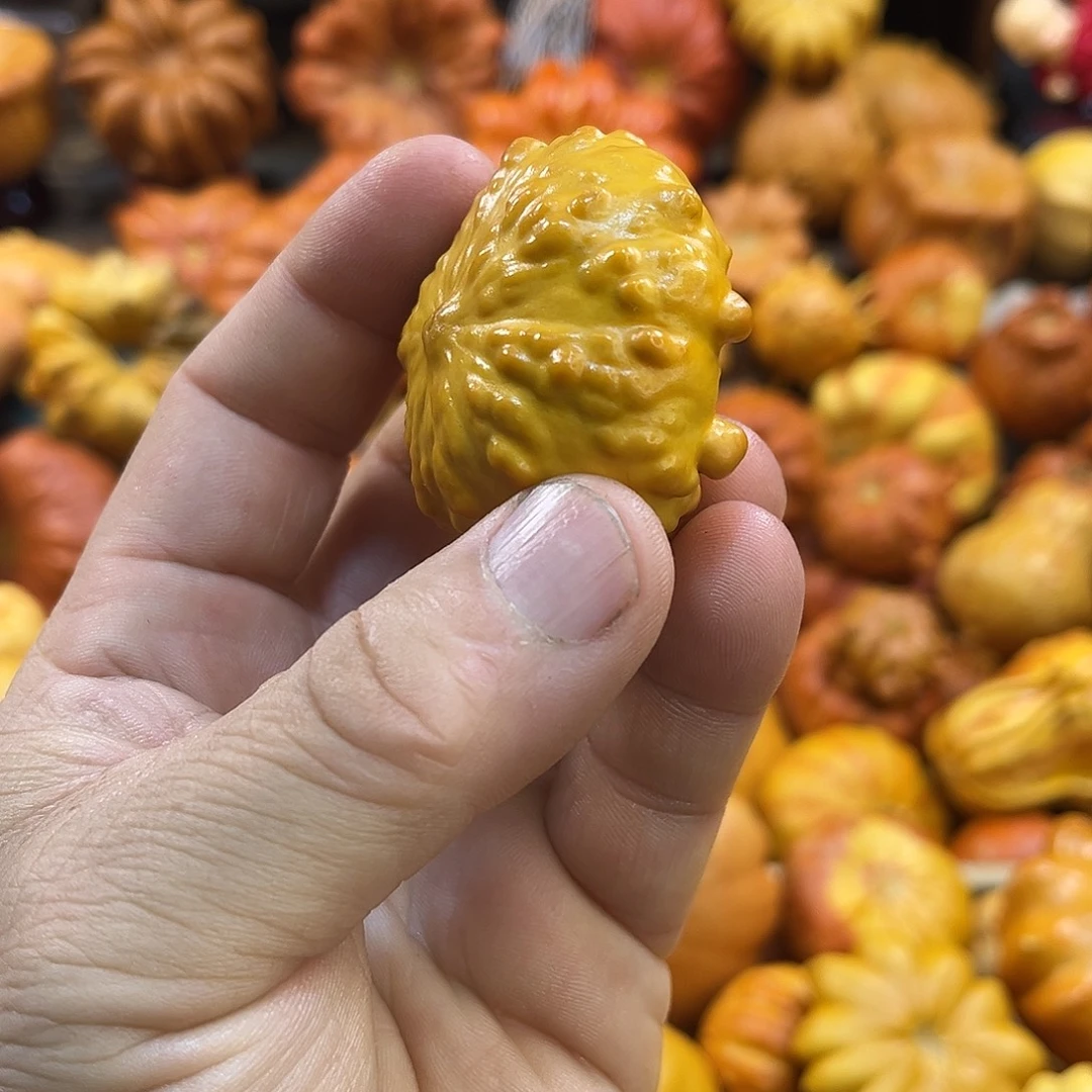 墨西哥疙瘩有点微瑕