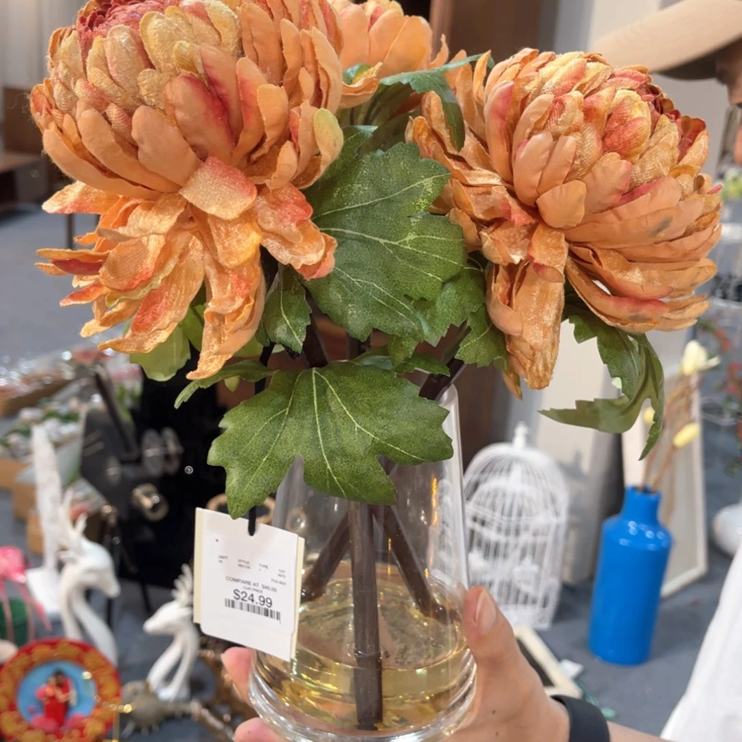 红陶红陶红陶红陶红陶