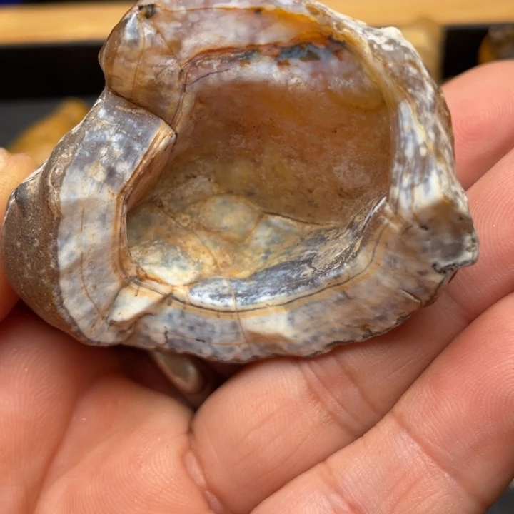 石材纯天然原石奇石192