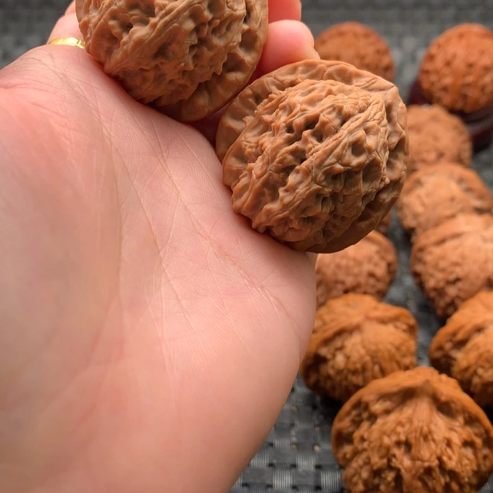 前**锦文玩核桃白狮子38全品