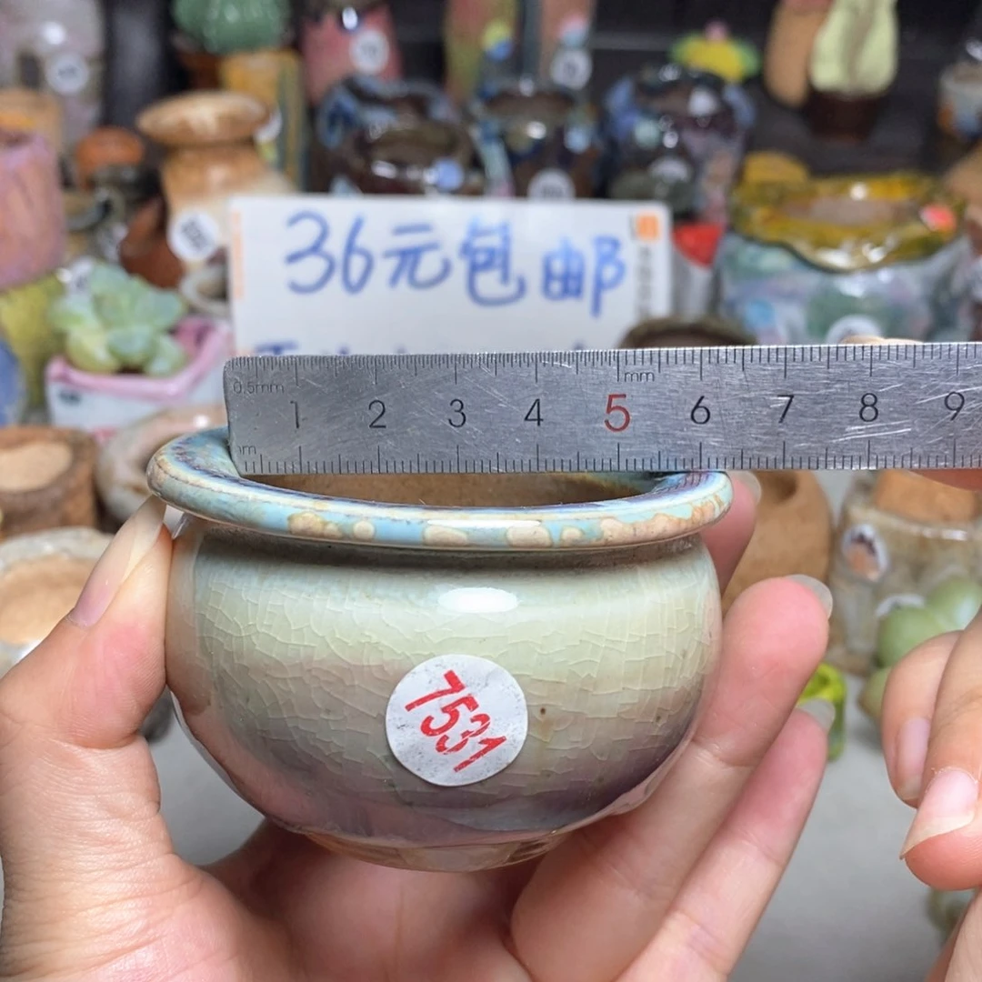 拍3送一个同款的盆