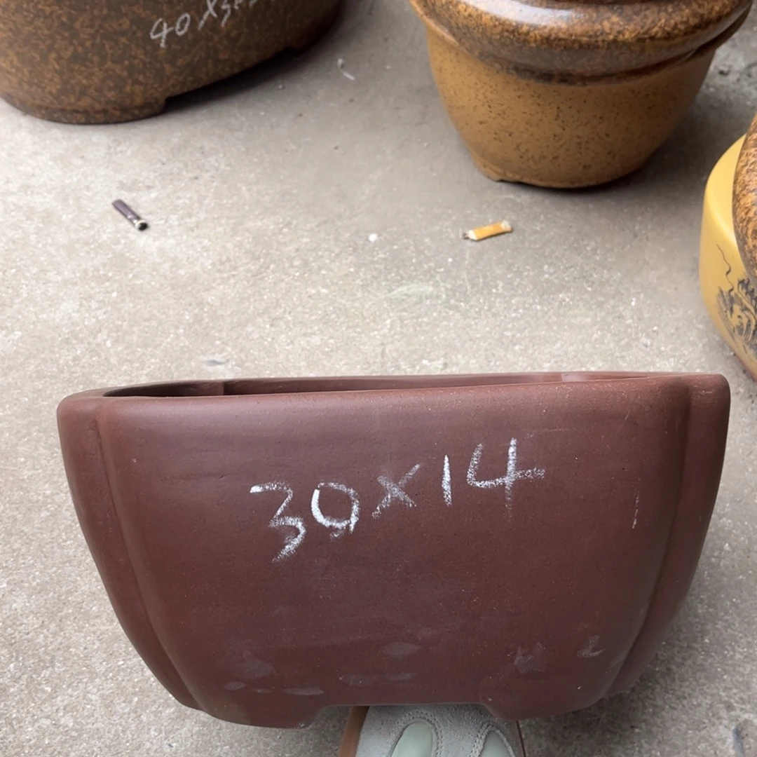 花盆紫砂盆景艺术