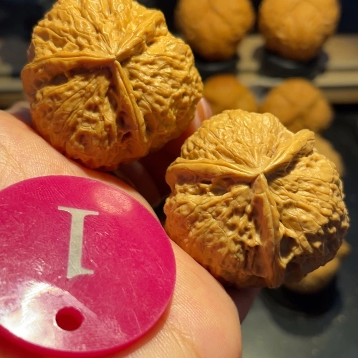 密纹七星三棱本尺寸39