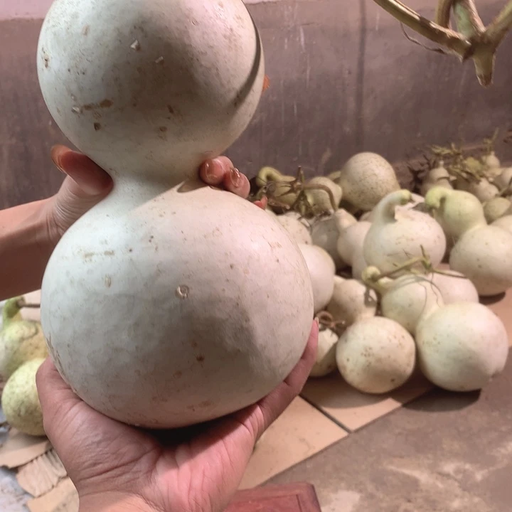 俊***中号现货供应充足