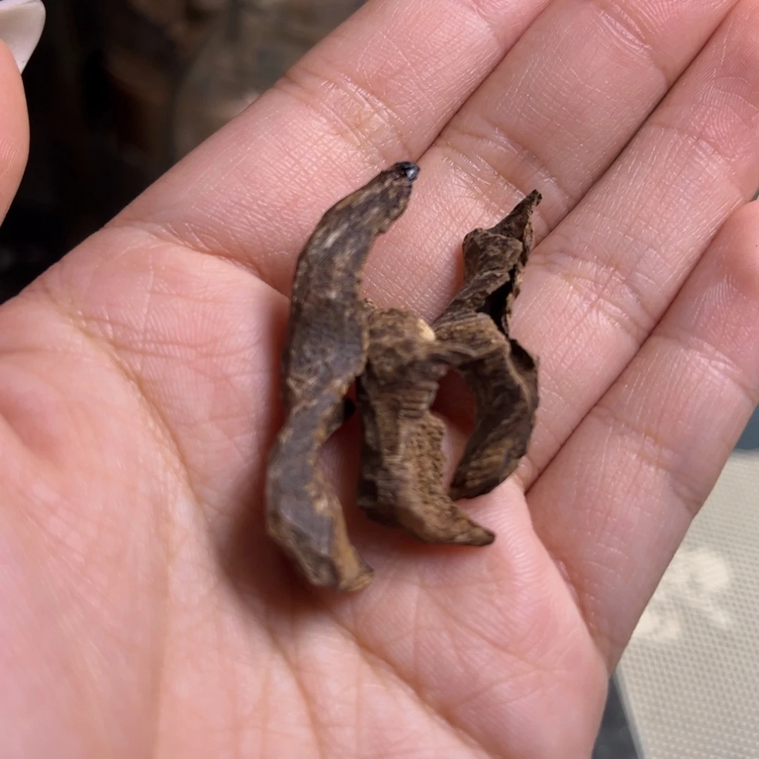 沉香海南尖峰岭鸡母虫漏2克