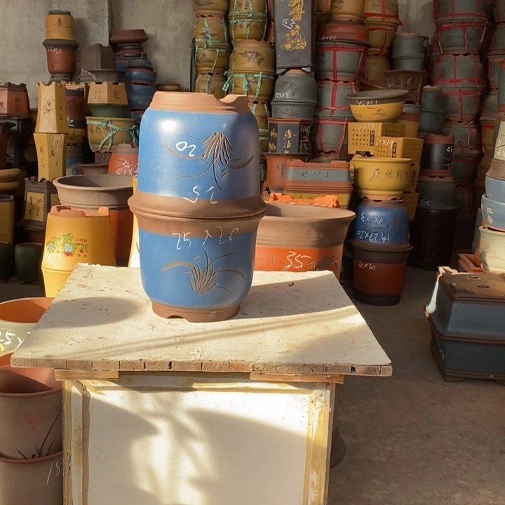 紫砂花盆盆栽花卉苗木种植