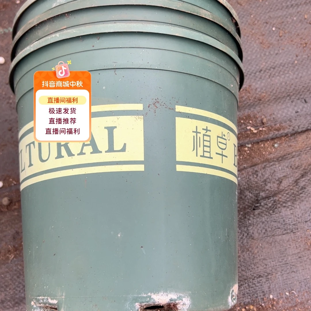 绿色2加仑盆22.5口径21高 3个