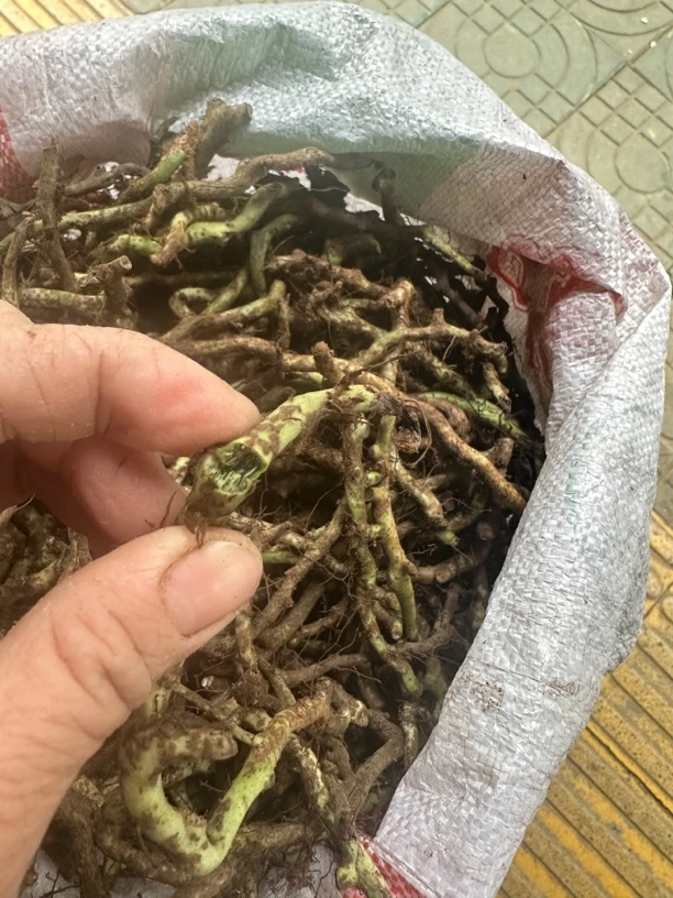 一包针 250克一份 头发丝药材