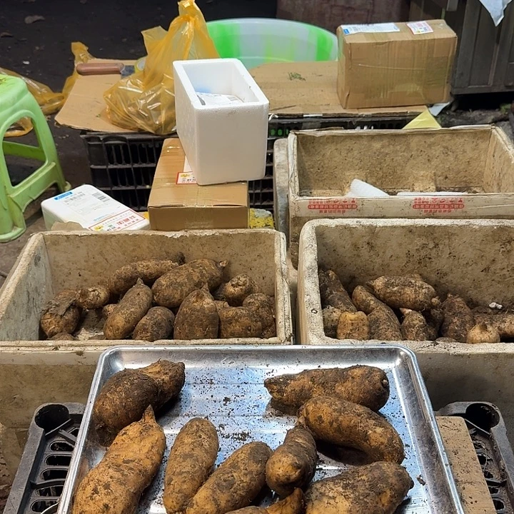 柒***玥中国大陆福利中大果2斤