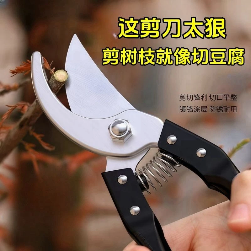 SK5园艺剪刀修枝剪新款园林家用省力花枝园艺剪强力园艺剪果树剪