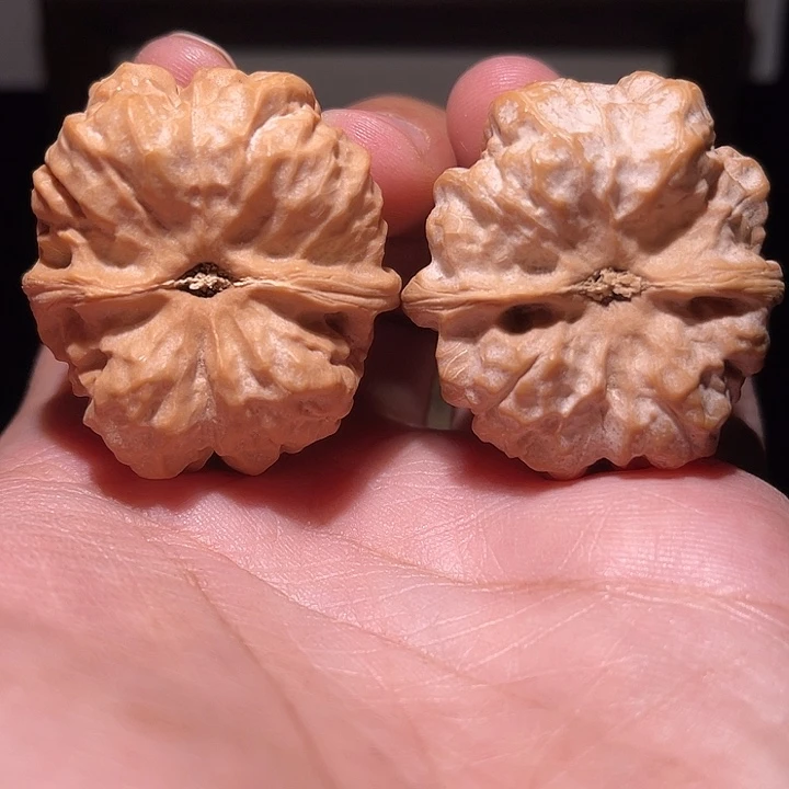 核桃手串/手链1923