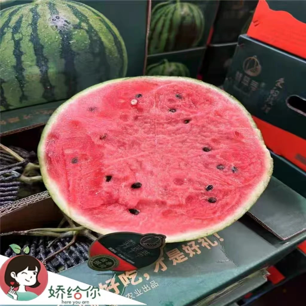 【顺丰包邮】翡翠蒂麒麟西瓜1粒有籽脆甜多汁不沙瓤纯甜爆汁6-11斤