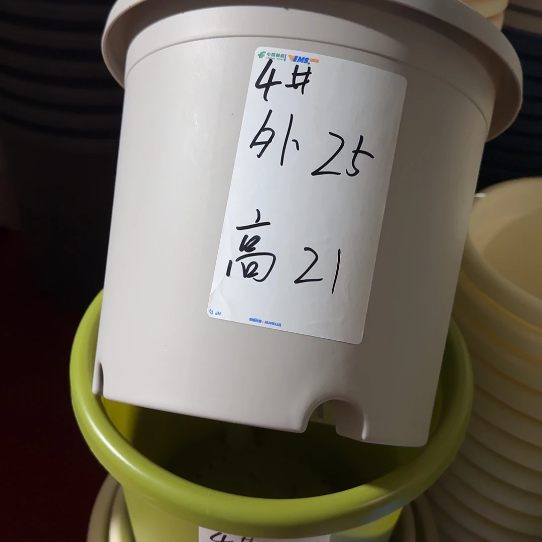 树脂四季4号无托8个灰白微瑕