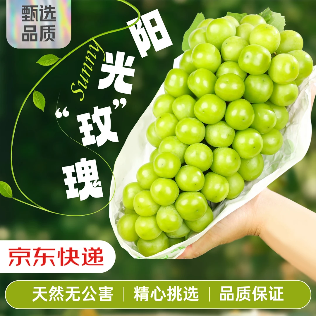 【京东生鲜】阳光玫瑰葡萄果王品质无籽应季现摘薄皮爽口整箱发货Y