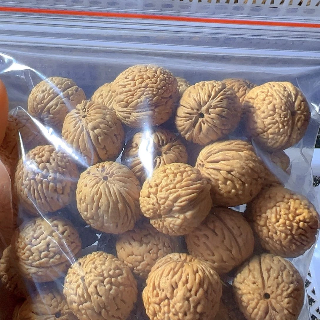 @***️吊坠桃核龙鳞凤尾桃核散籽